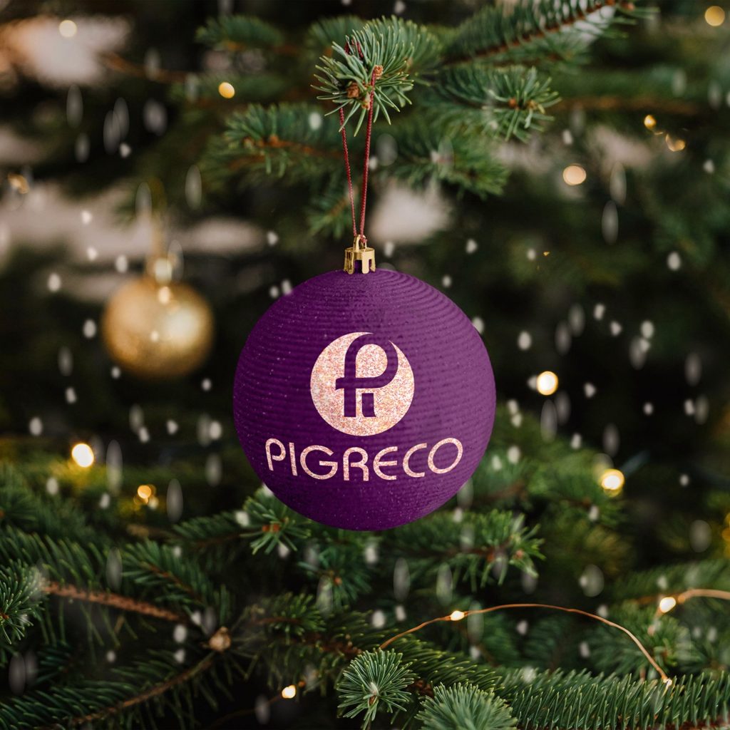 Buone Feste da Pigreco