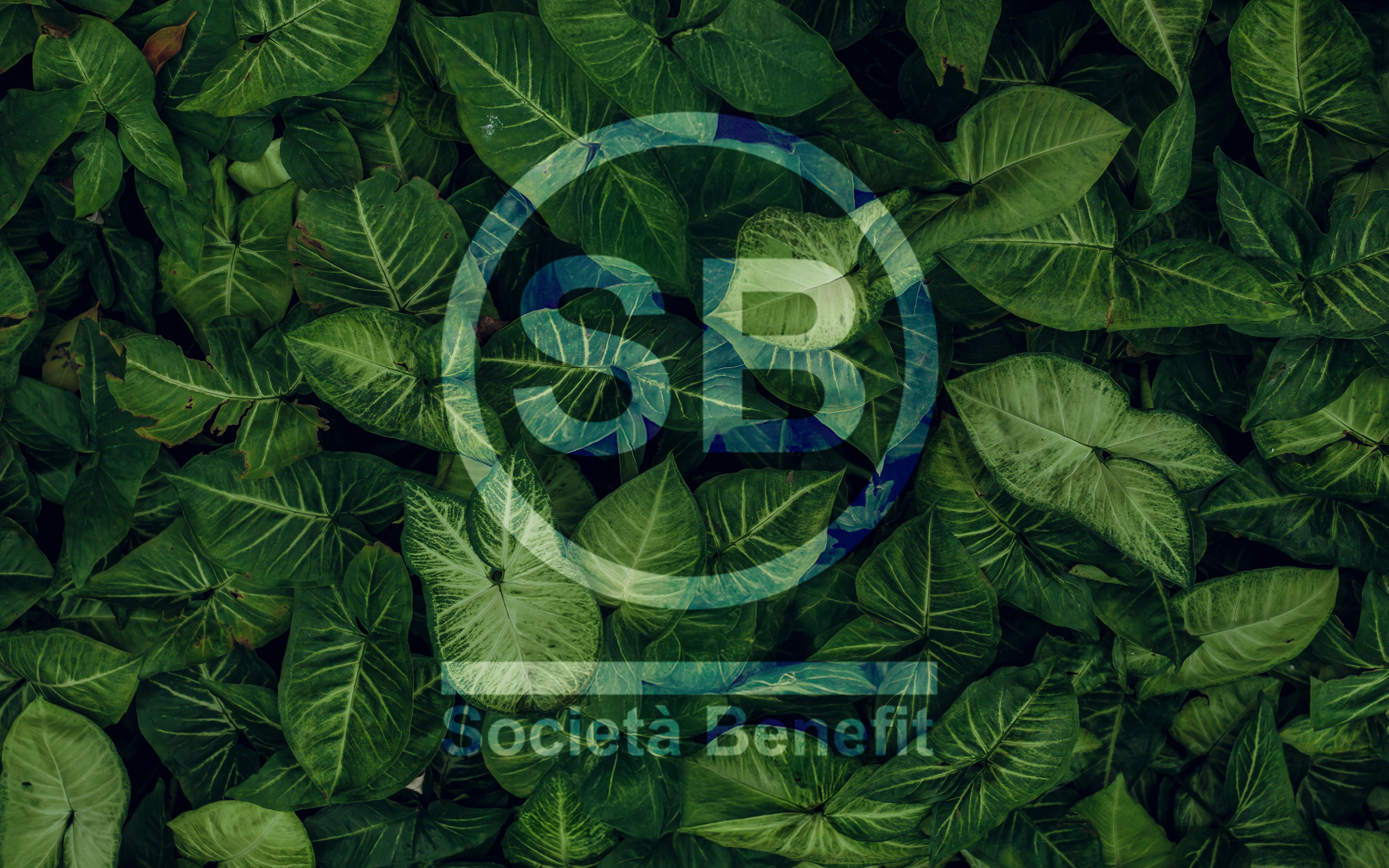 Società di Benefit