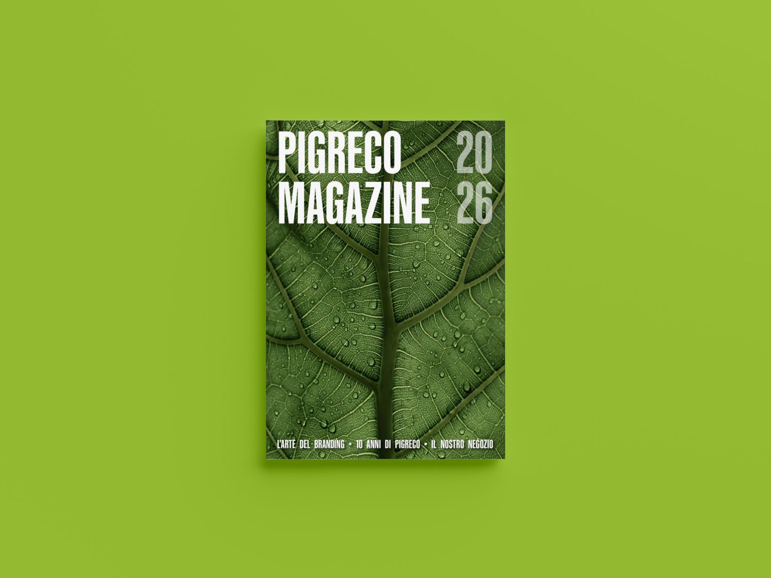 Pigreco Magazine 2026
